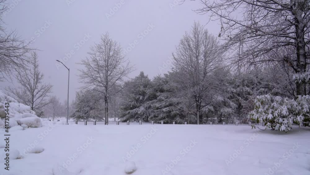 Still View of a Pretty Snowfall at the Park Still View of a Pretty Snowfall at the Park