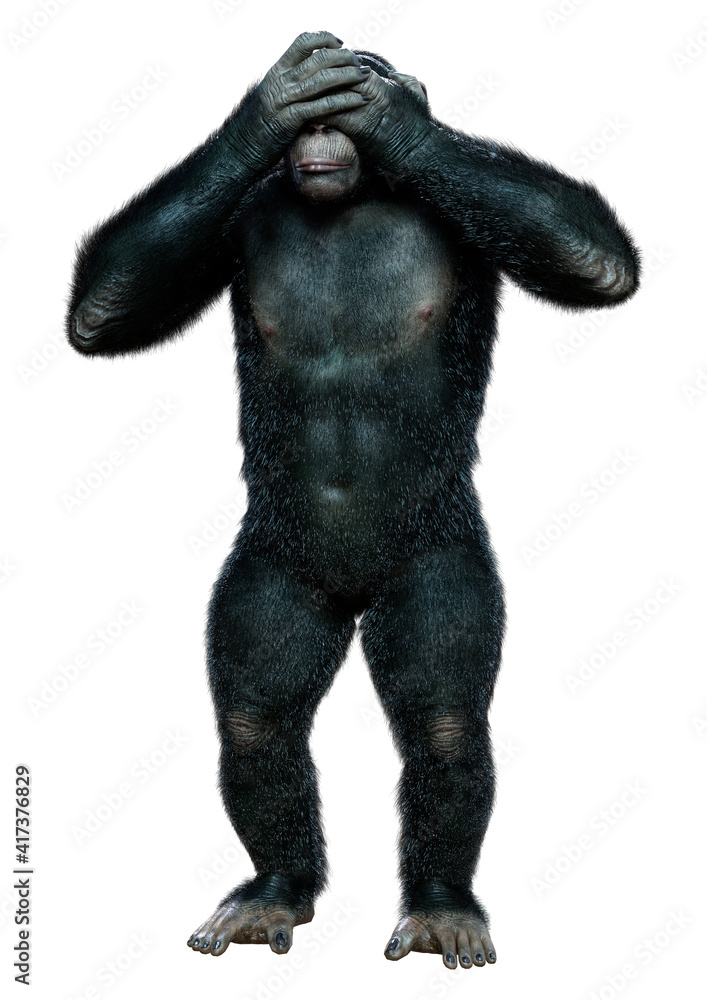 3D Rendering Chimpanzee on White
