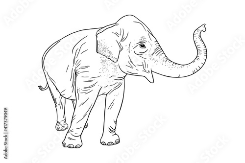Elephant profile isolated on white background. Realistic Asian elephant with upturned trunk. Sketch vector illustration