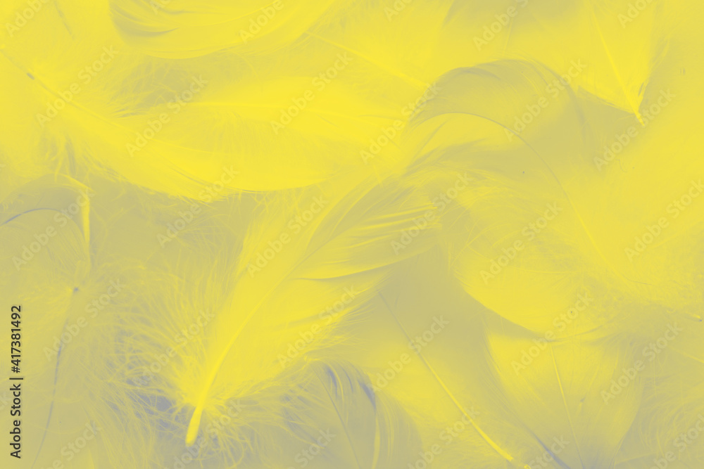 fluffy bird feathers colored to the 2021 year colors, ultimate gray and illuminating fluffy bird feathers colored to the 2021 year colors, ultimate gray and illuminating