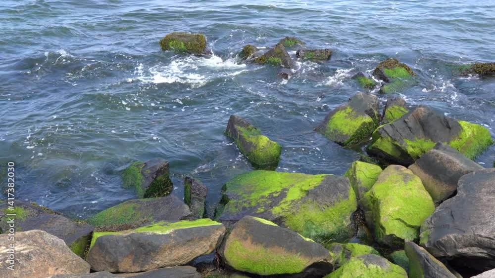 Ocean waves rolling over the seaweed covered rocks at the shore. Ocean waves rolling over the seaweed covered rocks at the shore.