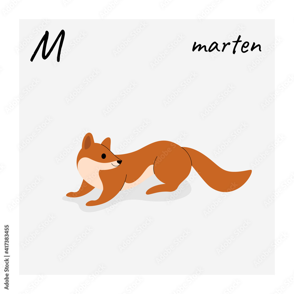 Fototapeta premium Cute marten - cartoon animal character. Illustration in flat style isolated on gray background.