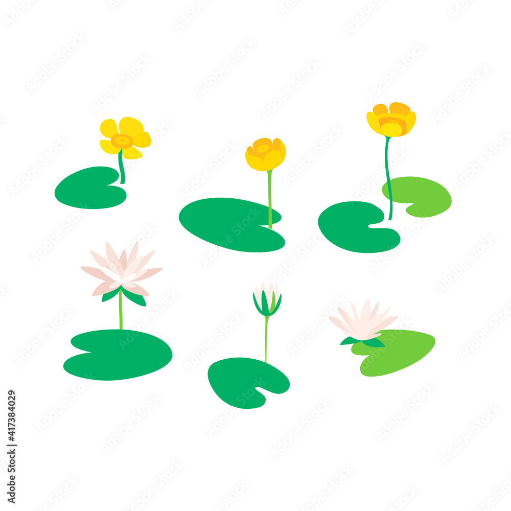 Different types of flower. Water lily. Flat line illustration.