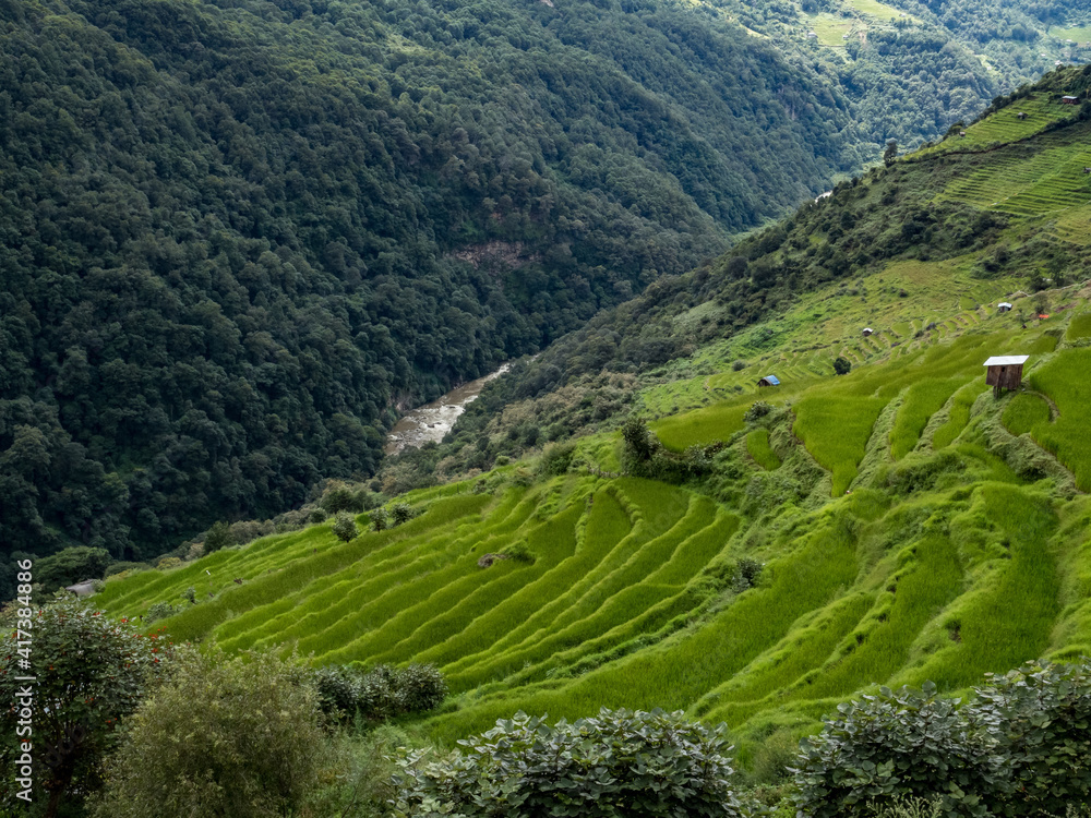 Bhutan Landscape