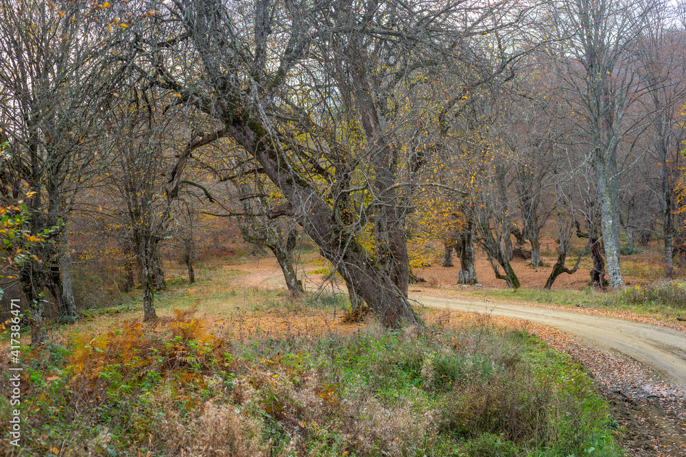 Western Black Sea plateaus and autumn colors