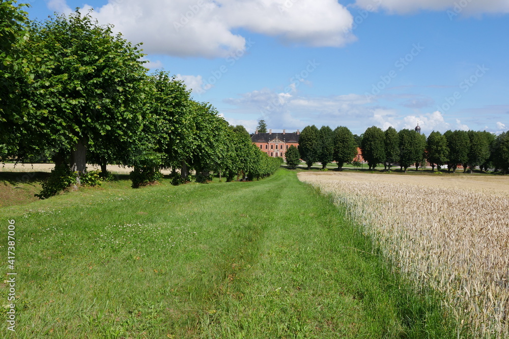 Allee und Feld Schloss Bothmer - Getreidefeld