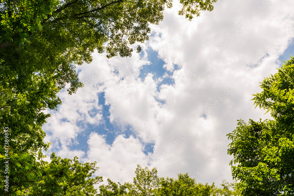 Fototapeta premium 조계산 등산 