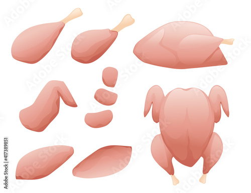 Set whole and separate pieces of fresh raw chicken ready for cooking vector illustration isolated on white background