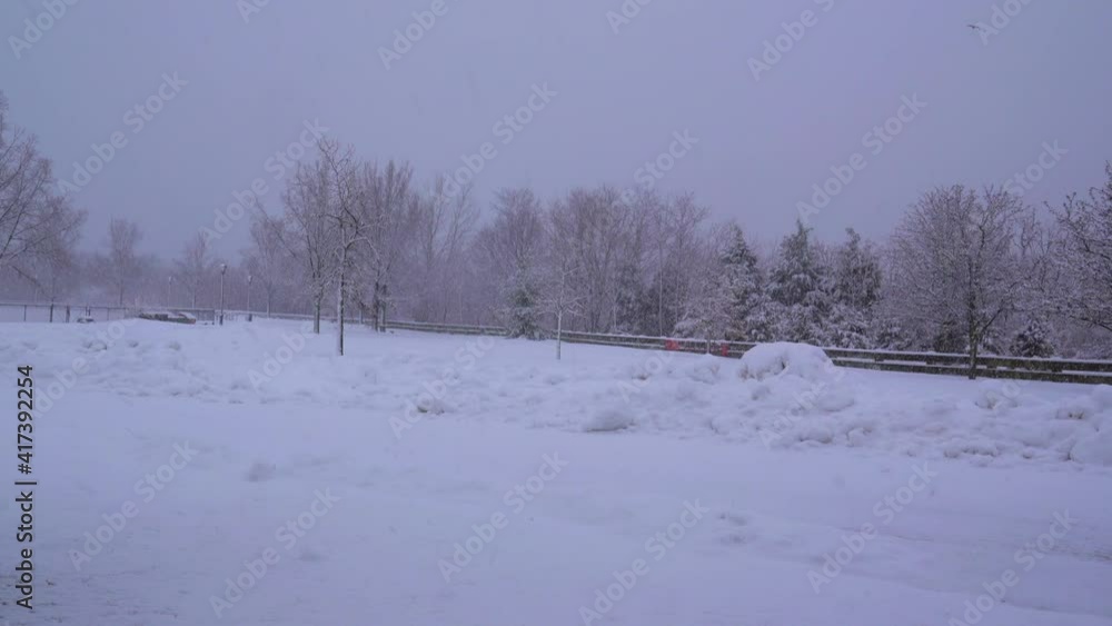 View of a Snow-Covered Park View of a Snow-Covered Park