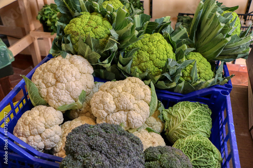 Various types of cauliflower and cabbage sold in a greengrocer