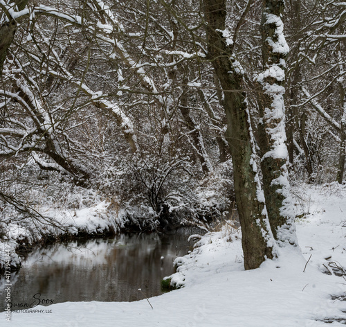 Winter Wonderland