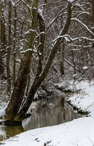 Winter Wonderland