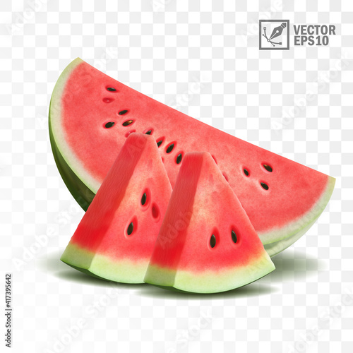 3d realistic transparent isolated vector, half and slices of juicy watermelon