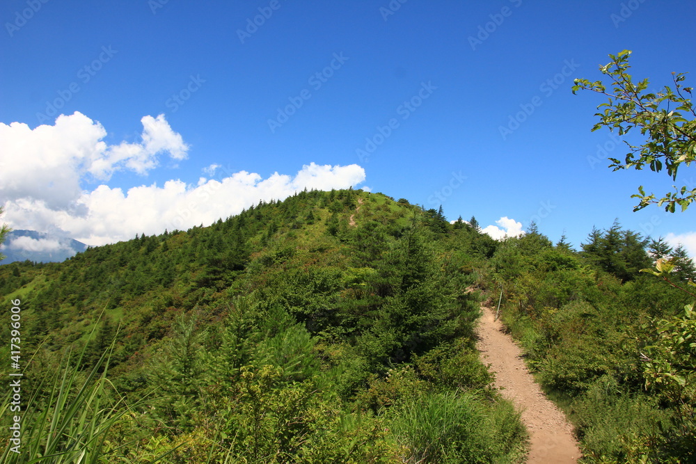 Obraz premium 平沢山（長野県） 山の頂上の向こうに夏雲が顔もたげる、 