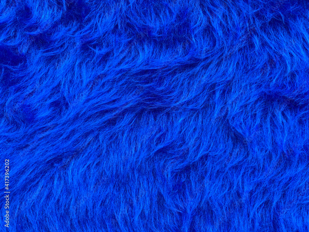 Close up abstract Fluffy Navy Blue wool texture and background, cotton wool. Fashionable color.Decorative dyed sheepskin with copy space. Close up abstract Fluffy Navy Blue wool texture and background, cotton wool. Fashionable color.Decorative dyed sheepskin with copy space.
