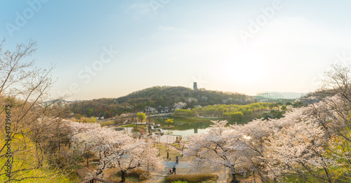 Photography 북서울 꿈의 숲 파노라마 풍경