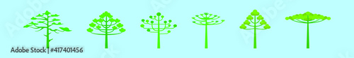 Photos set of araucaria trees cartoon icon design template with various models