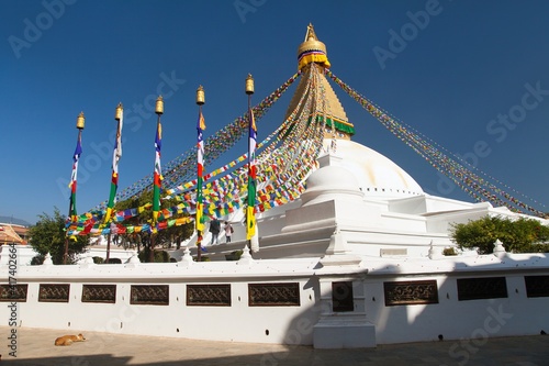 Boudha bodhnath Boudhanath stupa prayer flags Kathmandu