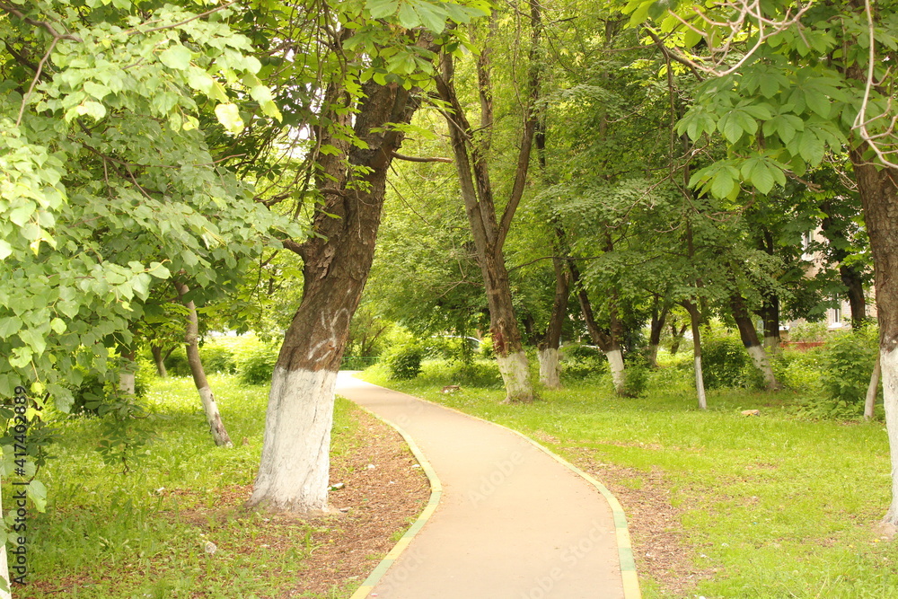 green alley in the park