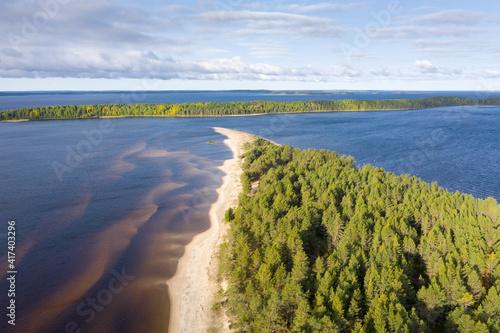 Aerial view of green pine forest with sandy beach at Chyolmuzhskaya spit on shore of Lake Onega in Republic of Karelia, Russia. Beautiful nature landscape of Russian North on sunny autumn day