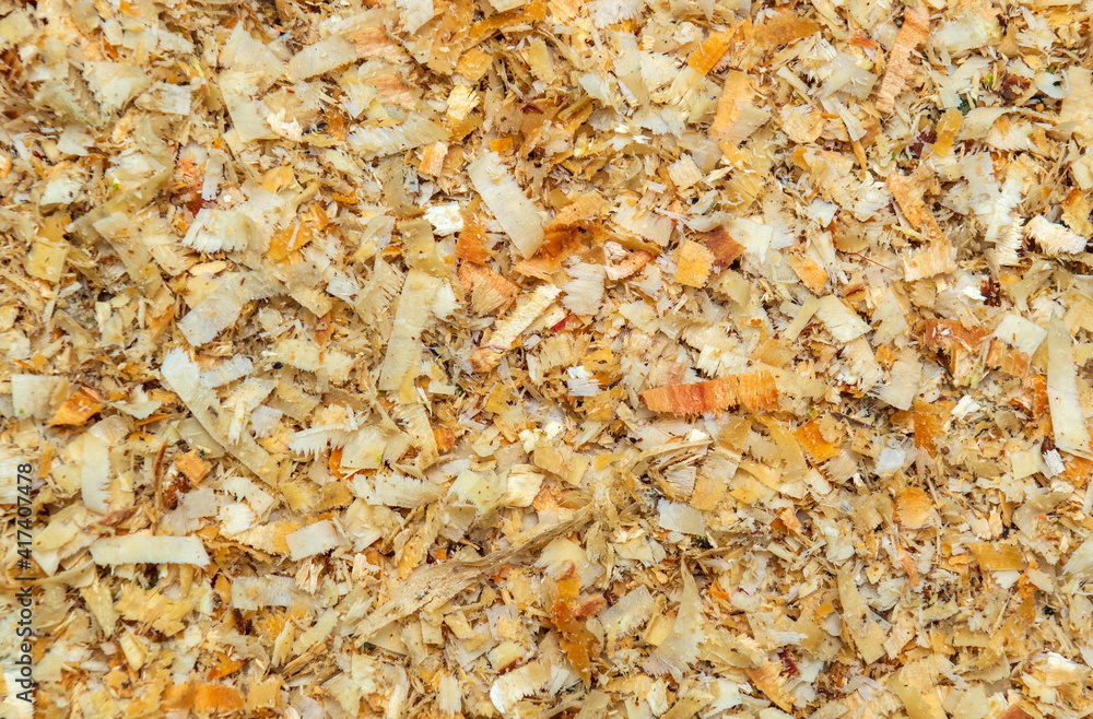 Wood shavings or sawdust after cutting wooden logs. Texture background close up top view Wood shavings or sawdust after cutting wooden logs. Texture background close up top view