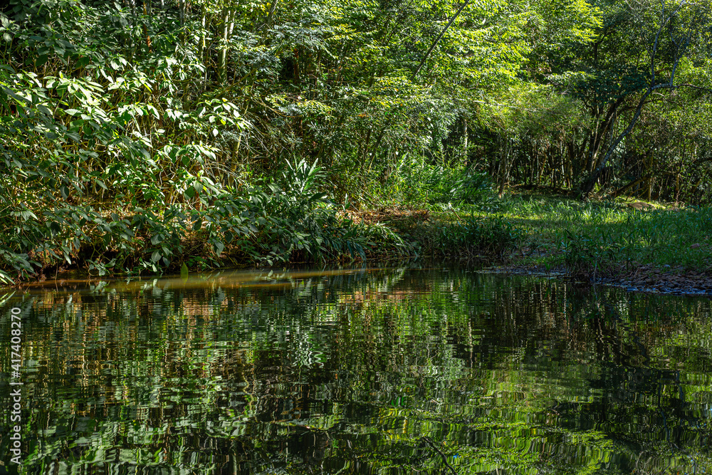 Fototapeta premium Lago natural verde tranquilo en una mañana fresca en salto pa´i colonia independencia paraguay