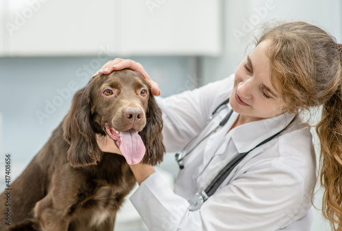 Canvas Print Vet's cleaning dogs ear at vet clinic