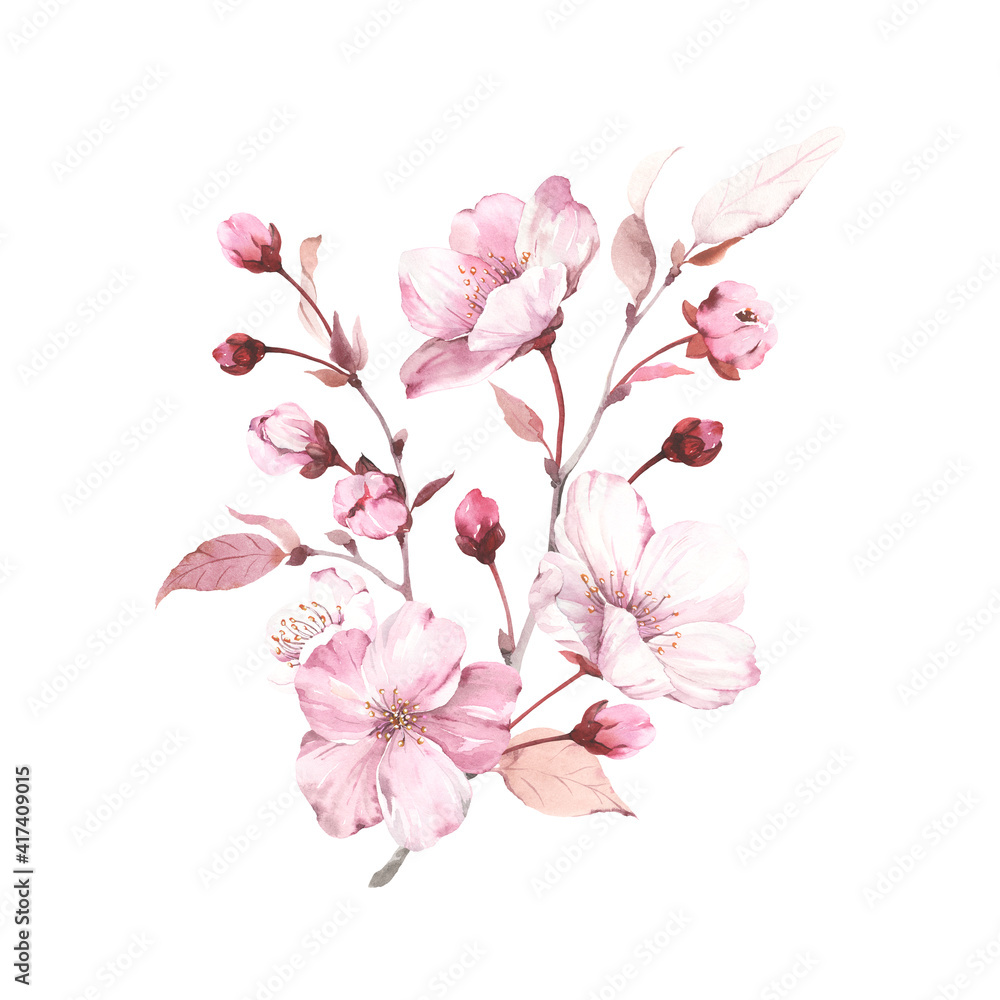 Sakura on branches tree. Watercolor illustration blossoming cherry isolated on white background, design element, romantic symbol spring.