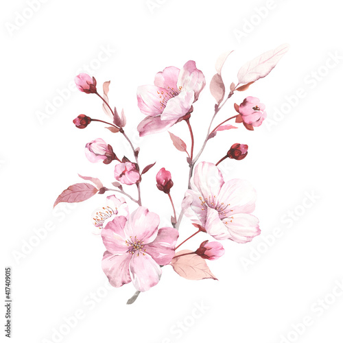 Sakura on branches tree. Watercolor illustration blossoming cherry isolated on white background  design element  romantic symbol spring.