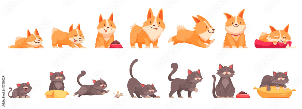 Obraz premium Pets Growth Stages Set