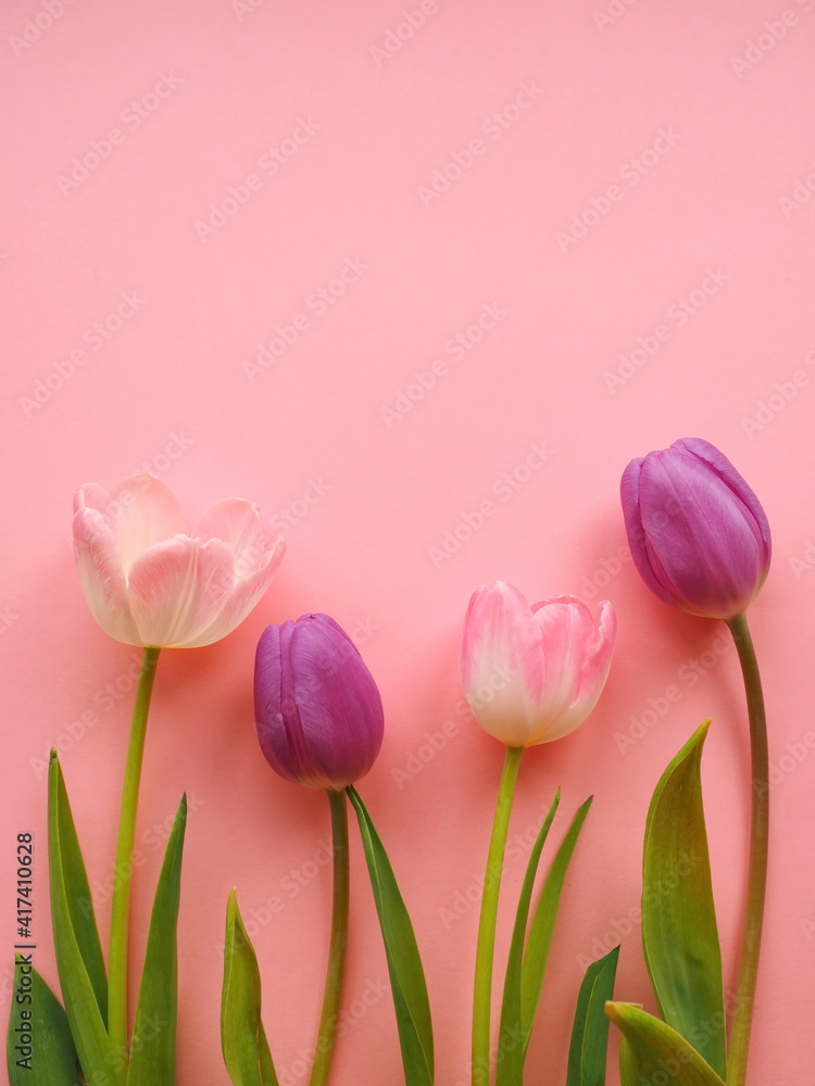 Fototapeta premium Bouquet of tulips on pink background - bright spring concept