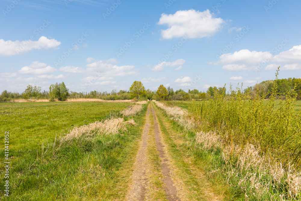 Feldweg durch Landschaft mit Wiesen