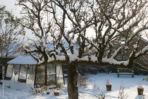 Snow scene landscape of glass greenhouse and espalier ancient pear tree grass and plant covered in white layer in organic English country garden in Winter freezing weather after snowfall 