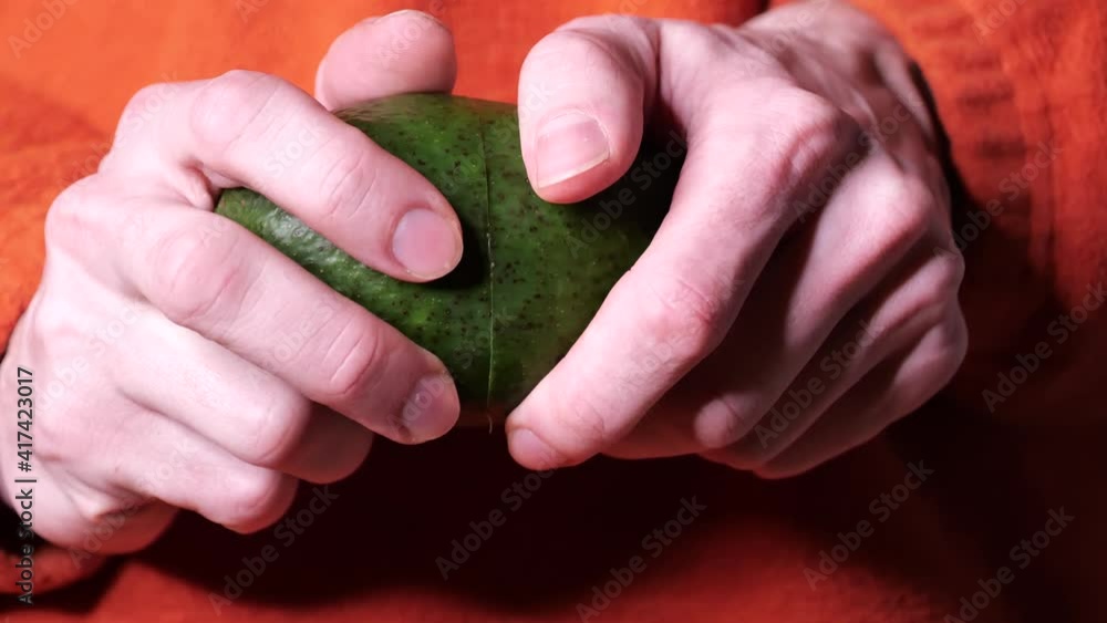 healthy sheep avocado with a big stone healthy sheep avocado with a big stone