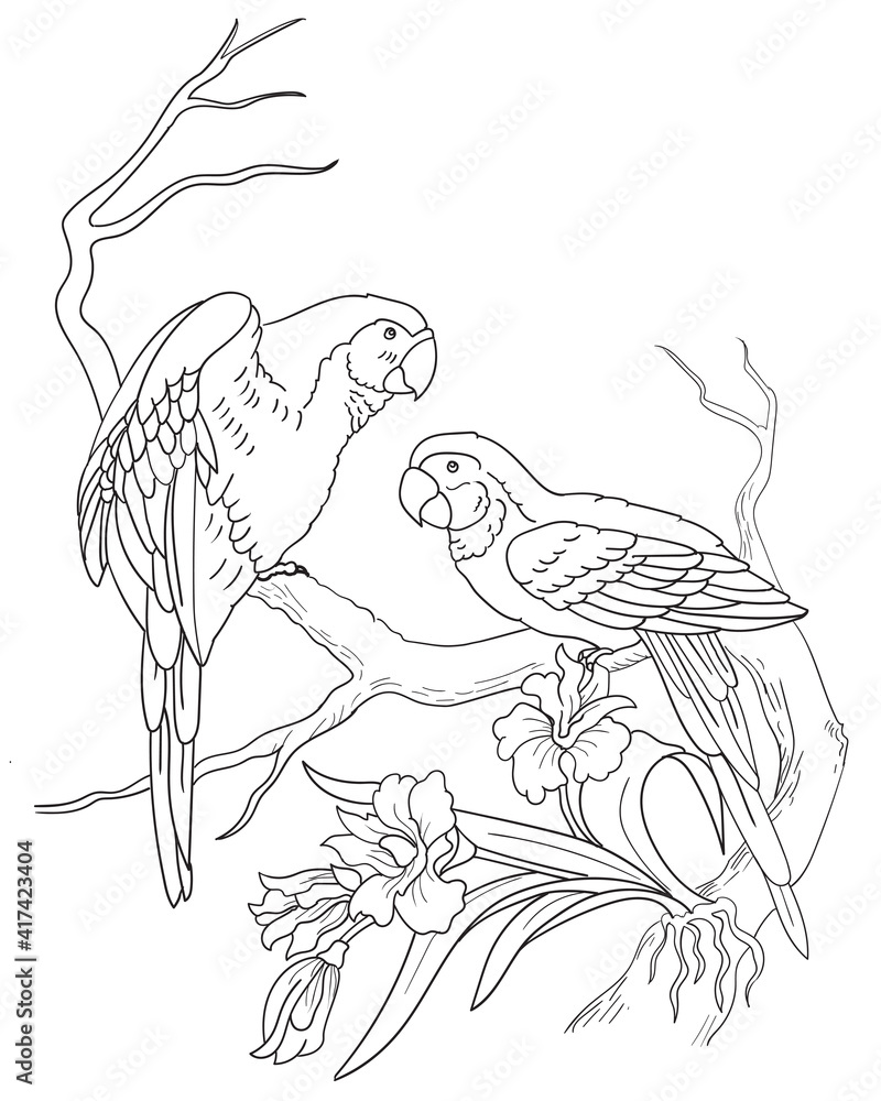 Print birds and flower coloring page Print birds and flower coloring page