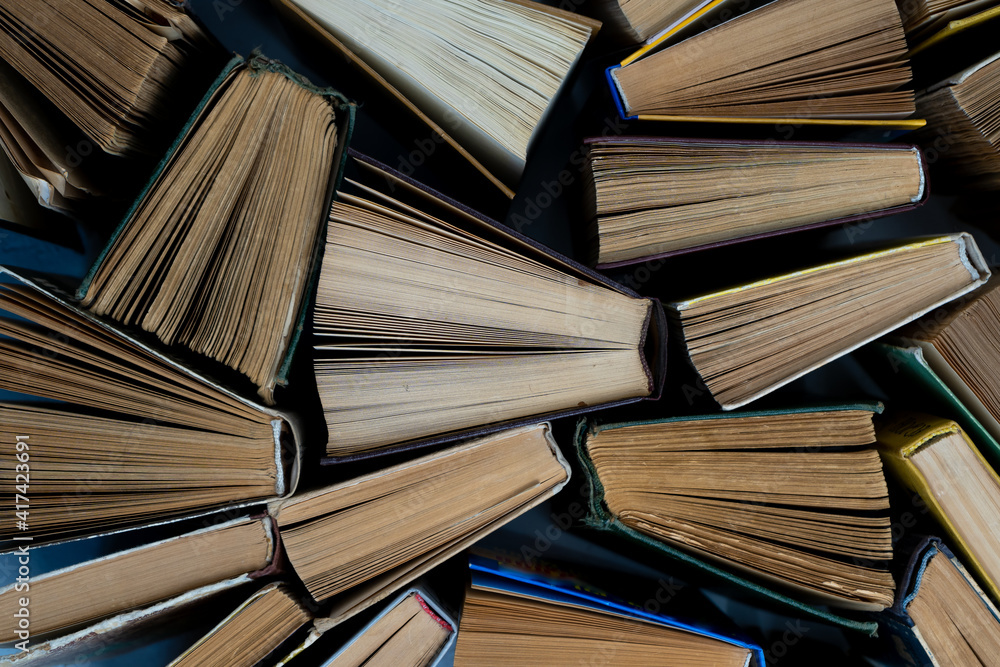 Fototapeta premium Book background. Old books in the library. Bookshelf shop. Knowledge, publications, literature. Bookish, bookstore, bookshop