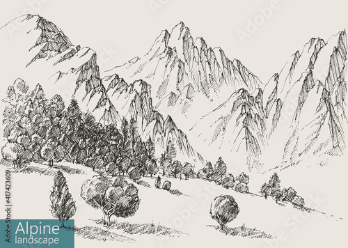 Alpine landscape, valley, vegetation and mountains ranges vector drawing