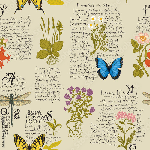Vector seamless pattern with handwritten text Lorem Ipsum, medicinal herbs and insects. Hand-drawn colored plants, butterflies, dragonfly on an old paper background. Wallpaper, wrapping paper, fabric