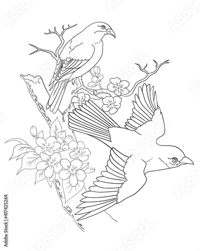 Print birds and flower coloring page