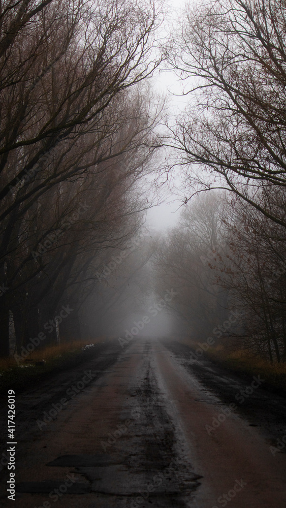 Obraz premium Mystical road. An old asphalt road covered with cracks and patches in the mud with tire marks from cars during heavy fog.