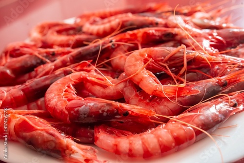 Prawn. Shrimp dish facing right. Species called Red Gamba, Spain. Aristeus antennatus photo