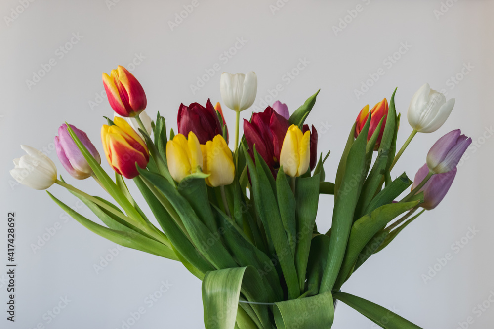 Fresh tulips inside a transparent vase Fresh tulips inside a transparent vase