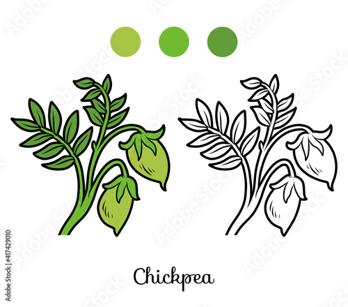 Coloring book for kids, Chickpea