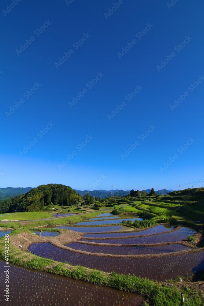Rice Field in Spring, Japan