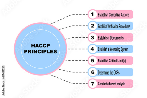 Diagram concept with HACCP Principles text and keywords. EPS 10 isolated on white background