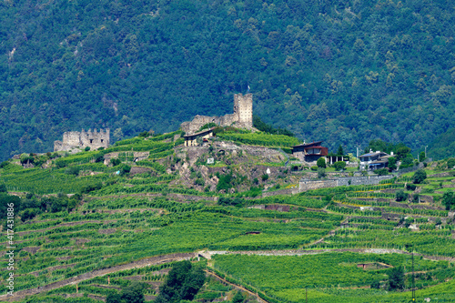 Wallpaper Mural Landscape along the Sentiero della Valtellina, Italy, from the cycleway Torontodigital.ca
