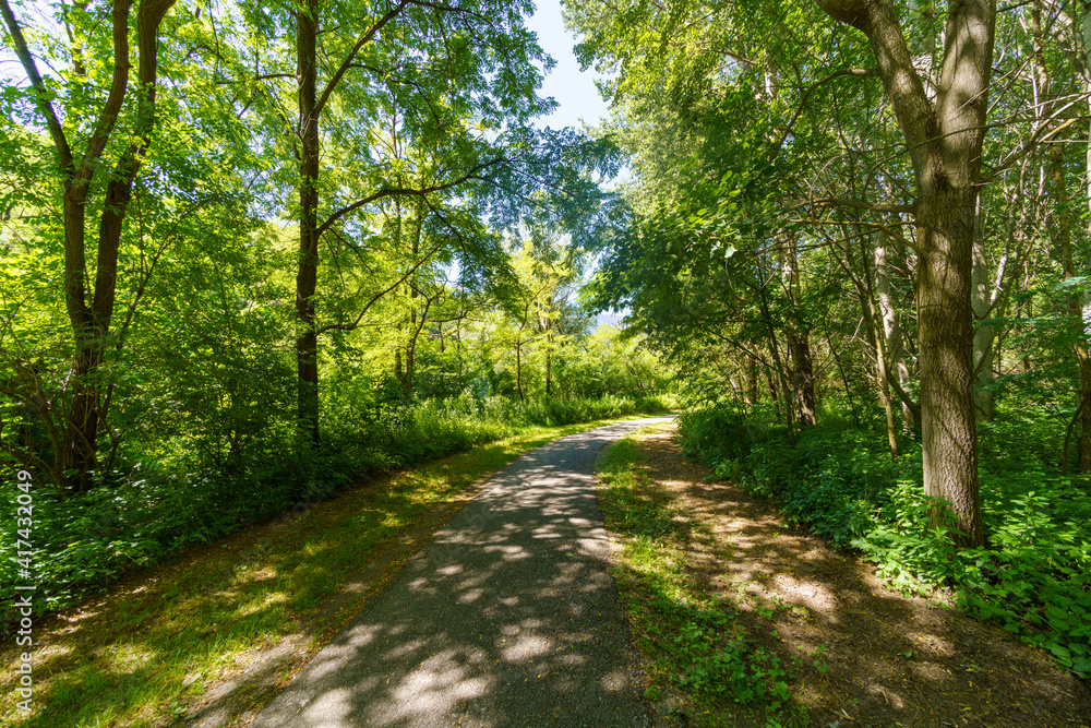 Sentiero della Valtellina, Italy, cycleway in the forest