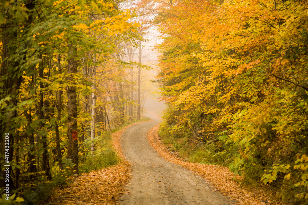 Gravel winding road snaking through a forest of autumn colors in near Cornish, New Hampshire.