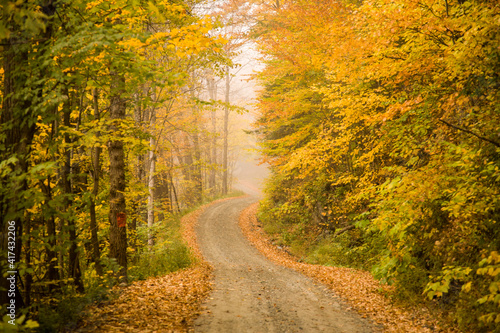 Gravel winding road snaking through a forest of autumn colors in near Cornish, New Hampshire.