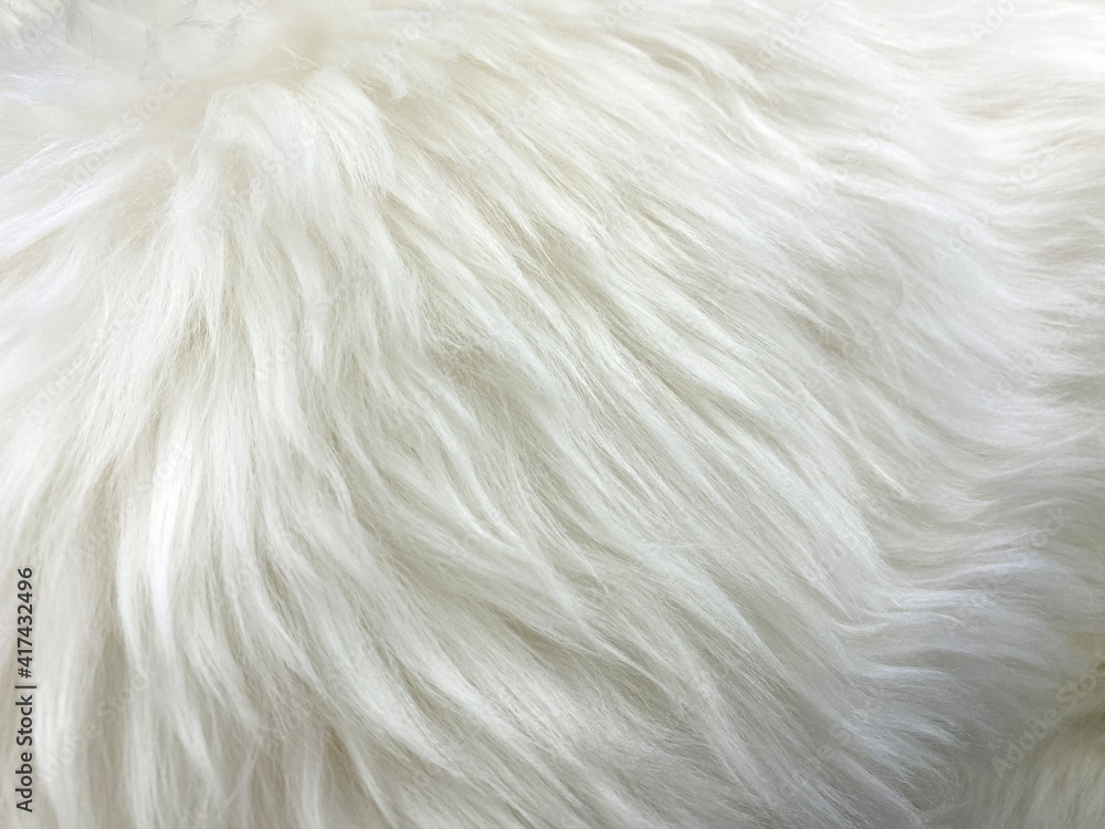 Obraz premium White artificial wool texture, soft fur for textiles. Background, texture